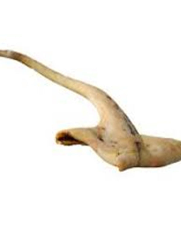 Whole Cow tail