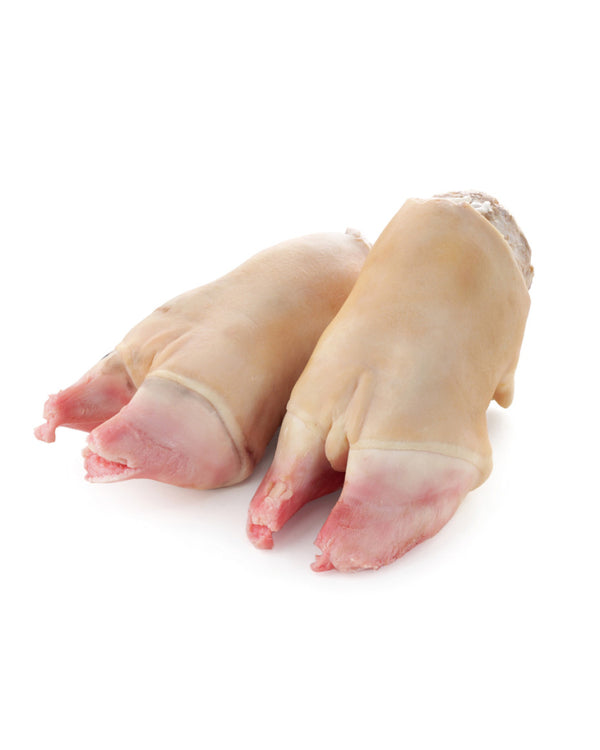 Goat head and legs